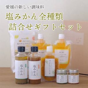 みかんがふわっと香る愛媛の新しい調味料 塩みかん全種詰め合わせセット[D25-81][1305615] YW