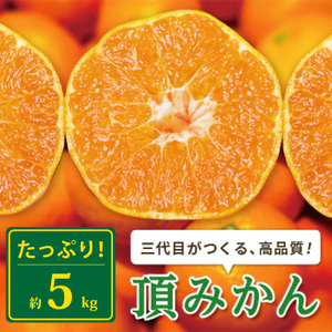 三代目がつくる高品質【頂みかん】5kg【C31-16】【1042516】 YWTAC008