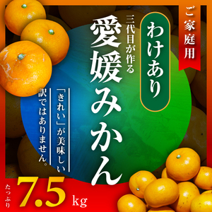 三代目がつくる愛媛みかん 7.5kg【訳あり(家庭用)】【D31-17】【1120067】 YWTAC009
