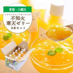 デコポンと同品種 愛媛のおいしい柑橘 不知火寒天ゼリーセット 8本[C25-28][1502295] YW