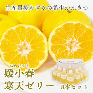 愛媛でしか栽培できない希少柑橘 媛小春(ひめこはる)寒天ゼリー8本セット [C25-82][1305617] YW