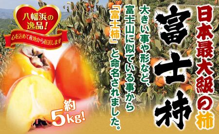 甘さにニッコリ日本最大級の柿「富士柿」約5キロ 【D39-15】【配送不可地域：離島・北海道・沖縄県】【1236930】 YWTF007
