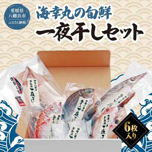 海幸丸の旬鮮一夜干しセット(6枚入)【D15-6】【配送不可地域：離島】【1505188】 YWTAW001