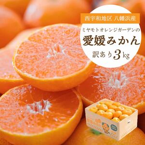 西宇和地区八幡浜産 愛媛みかん3kg[訳あり][B25-164][1509982] YW
