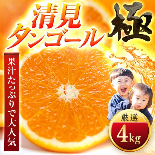 【太陽をたっぷり浴びた】清見タンゴール【極】4kg【C49-51】【1509748】 YWTZ043