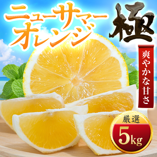 【先行受付】【太陽をたっぷり浴びた】ニューサマーオレンジ【極】5kg【E49-58】【1509761】 YWTZ050