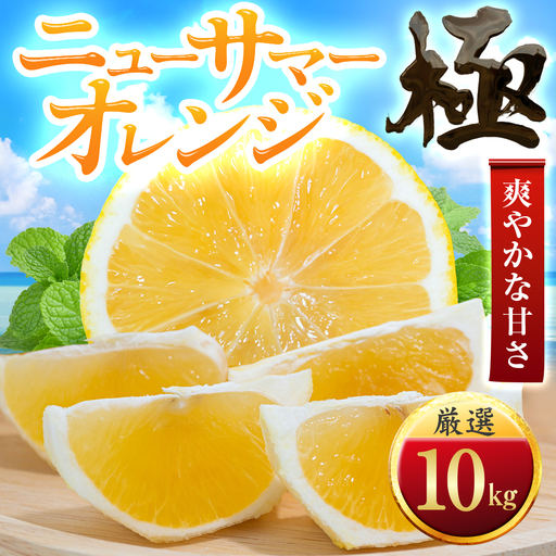 【先行受付】【太陽をたっぷり浴びた】ニューサマーオレンジ【極】10kg【H49-59】【1509762】 YWTZ051
