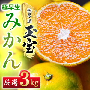 [愛媛名産]極早生みかん[雫・・小玉] 3kg[C64-22][1510677]