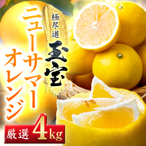 【先行受付】【愛媛名産】玉宝ニューサマーオレンジ　4kg【C64-37】【1510858】 YWTY026