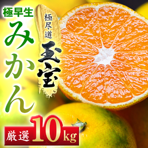 【愛媛名産】極早生みかん【雫・・小玉】 10kg【F64-24】【1510680】 YWTY013