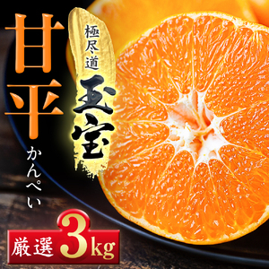 「玉宝ブランド」【甘平】3kg【E64-44】【1511358】 YWTY033