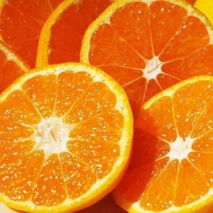 [2026年11月以降発送]濃厚な味わい「和」なごみ(みなの共選・家庭用)約5kg[C28-28][1122343]