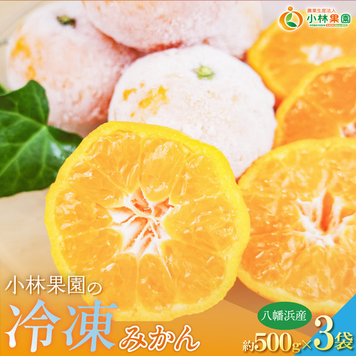 小林果園の冷凍みかん(500g×3袋)[訳あり][C24-27][配送不可地域:離島][1171841] YW