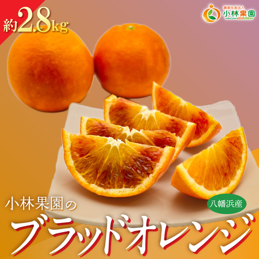 [先行受付]愛媛・小林果園のブラッドオレンジ 約2.8kg[C24-32][1519321] YW