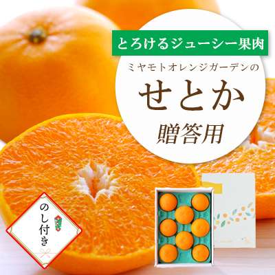 [先行受付] とろける濃厚柑橘 せとか のし付き ギフトボックス入り[E25-168][1536588] YW