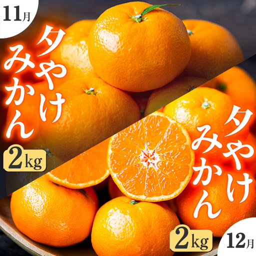 [発送月固定定期便]「こたつの上の冬物語」夕やけみかん(2kg)[C49-74]全2回[4056125]
