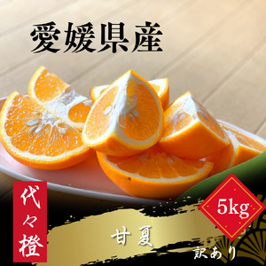 [ほろ苦くて甘酸っぱい][訳あり]甘夏 5kg[C83-17][1549107]