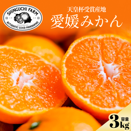 [太陽の旨みがギュッと凝縮]愛媛みかん3kg 農家直送 愛媛県川上産[C70-59][1555030]