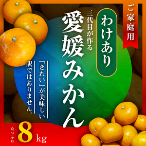 [訳あり(家庭用)]三代目がつくる愛媛みかん 8kg[C31-40][1556518] YW