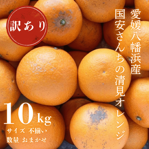 【先行受付】【まるで食べるジュース!越冬完熟品】愛媛産 訳あり 清見オレンジ 10kg【F20-34】【1594861】 YWTI029