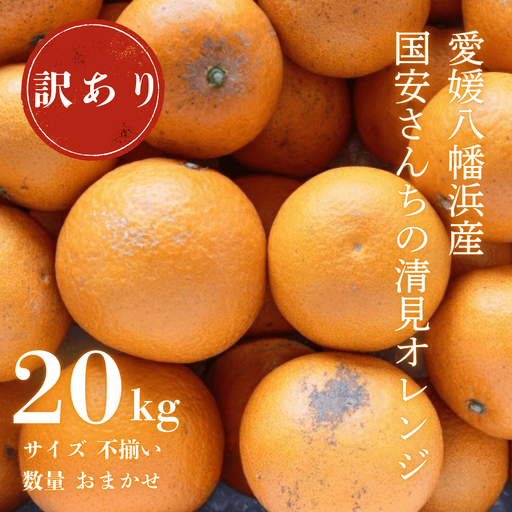 【先行受付】【まるで食べるジュース!越冬完熟品】愛媛産 訳あり 清見オレンジ 20kg【H20-35】【1594863】 YWTI030