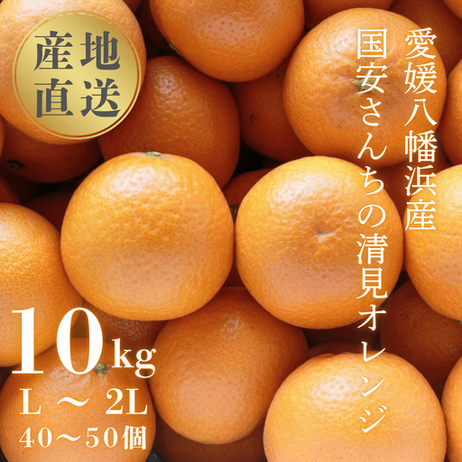 【先行受付】【まるで食べるジュース!越冬完熟品】愛媛産 清見オレンジ 10kg【G20-41】【1594852】 YWTI036