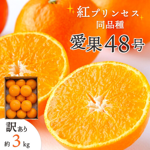 【先行受付】「紅プリンセス」と同品種!愛媛果試48号 3kg【訳あり】【E25-174】【1600644】 YWTAP115