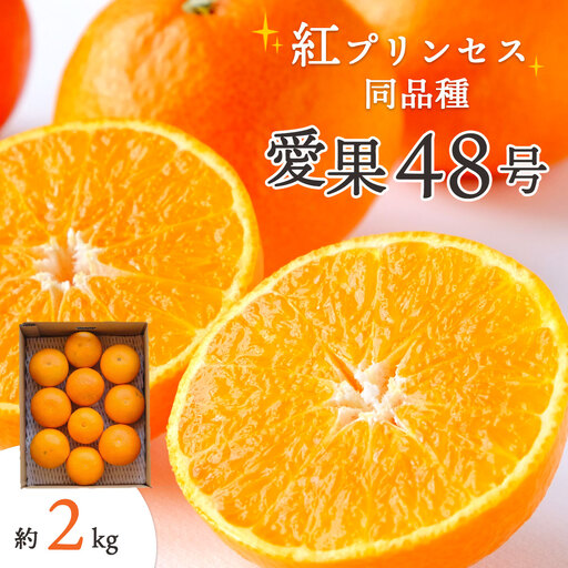 【先行受付】甘平×まどんな「紅プリンセス」と同品種!愛媛果試48号 2kg【E25-181】【1607364】 YWTAP122
