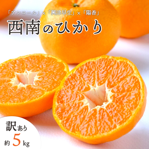 【先行受付】愛媛県八幡浜市産 西南のひかり 5kg【訳あり】【C25-192】【1610089】 YWTAP133
