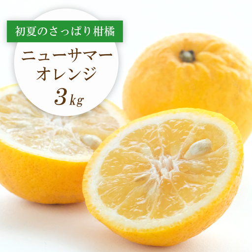 [2026年4月下旬頃出荷]ワタまでおいしい ニューサマーオレンジ 3kg[C25-212][1612591] YW