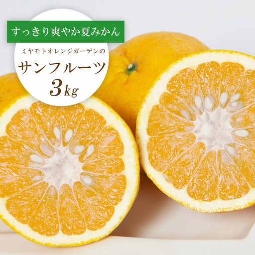 [2026年3月以降発送]さっぱりみずみずしい サンフルーツ(甘夏)3kg[C25-213][1612610] YW