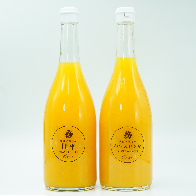 せとかジュース720ml×1本 甘平ジュース720ml×1本[C56-72][1621291] YW