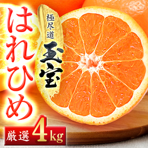 【愛媛名産】玉宝はれひめ　4kg【C64-70】【1621812】 YWTY059