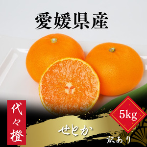 【先行受付】【最高の旨みと香りが詰まった】代々橙せとか【訳あり】5kg【E83-37】【1623736】 YWTW037