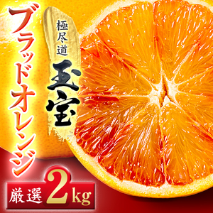 【愛媛名産】玉宝ブラッドオレンジ(タロッコ)　2kg【A64-82】【1623965】 YWTY071