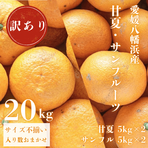 【先行受付】甘夏&サンフルーツ各10kg【訳あり】【F20-85】【1625136】 YWTI080
