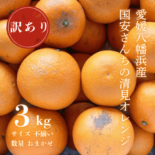 【先行受付】【まるで食べるジュース!越冬完熟品】愛媛産 訳あり 清見オレンジ 3kg【C20-87】【1625400】 YWTI082