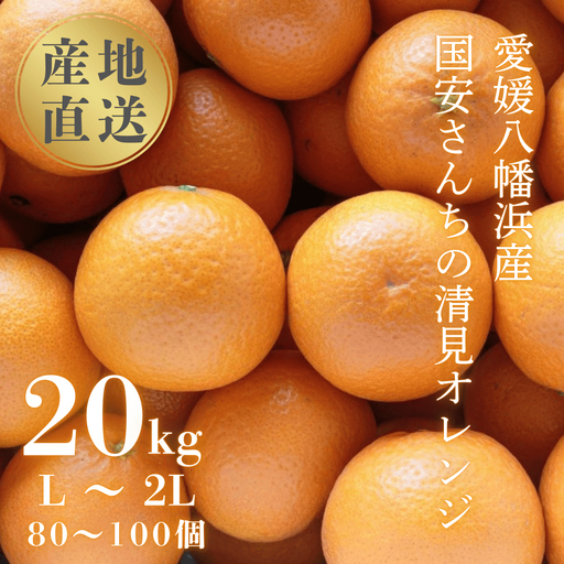 【先行受付】【まるで食べるジュース!越冬完熟品】愛媛産 清見オレンジ 20kg【H20-94】【1625385】 YWTI089