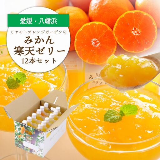 ゲル化剤・pH調整剤不使用!愛媛産 みかん寒天ゼリー 12本セット[D25-220][1628720] YW
