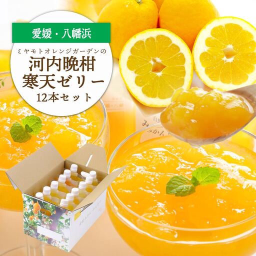 ゲル化剤・pH調整剤不使用!愛媛産 河内晩柑寒天ゼリー 12本セット[D25-223][1628741] YW