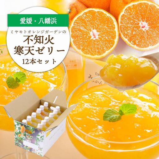 ゲル化剤・pH調整剤不使用!愛媛産 不知火寒天ゼリー 12本セット[D25-224][1628746] YW