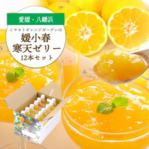ゲル化剤・pH調整剤不使用!愛媛産 媛小春寒天ゼリー 12本セット【D25-227】【1629427】 YWTAP168