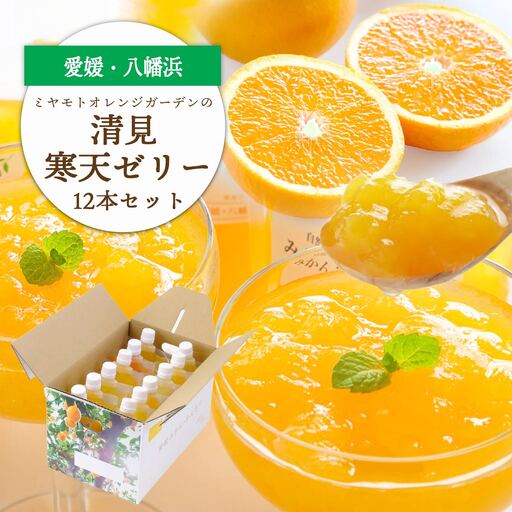 ゲル化剤・pH調整剤不使用!愛媛産 清見寒天ゼリー 12本セット【D25-230】【1629903】 YWTAP171