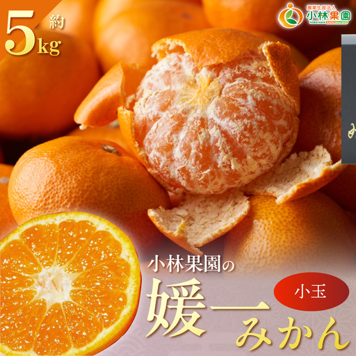 [先行受付]小林果園の媛一みかん[小粒]約5kg[C24-34][1633616] YW