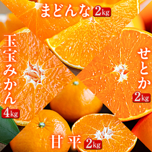 [発送月固定定期便]「蜜時(みつどき)便り」愛媛限定のまどんなや甘平も届きます[H64-92]全4回[4069712]
