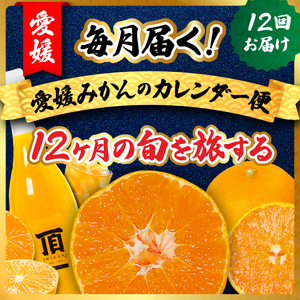 [発送月固定定期便]毎月届く!みかんのカレンダー便 〜12ヶ月の旬を旅する〜[H31-62]全12回[配送不可地域:離島][4074244] YW