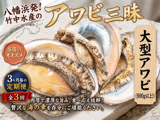 [3ヵ月毎定期便]八幡浜発竹中水産の大アワビ900g以上(2〜5個)[H22-289]全2回[配送不可地域:離島・北海道・沖縄県][4076813]