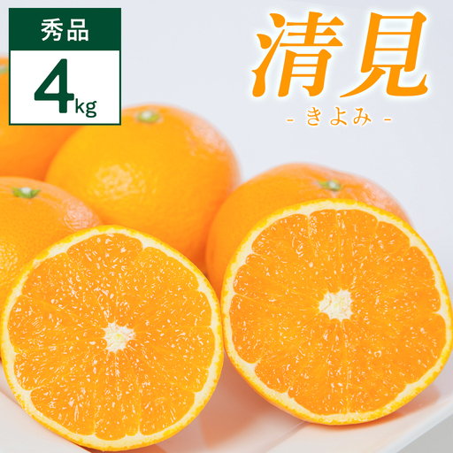 清見 4kg 愛媛県 八幡浜市 西宇和地区 柔らかい果肉[D25-352][配送不可地域:離島][1716860] YW