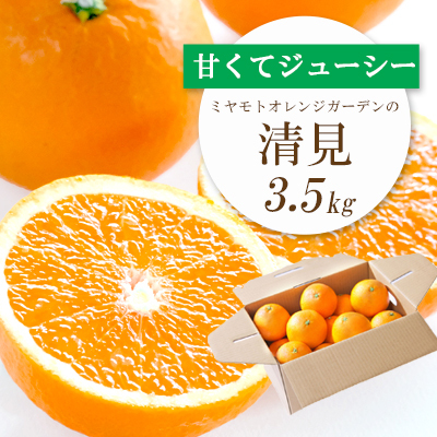 果汁たっぷり ジューシー清見3.5kg[D25-129][1044409] YW
