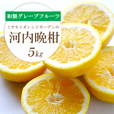 苦味の少ない和製グレープフルーツ 河内晩柑 5kg【D25-130】【配送不可地域：離島】【1151744】 YWTAP073